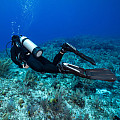Scubapro SEAWING NOVA uszonyok