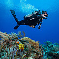 Scubapro SEAWING NOVA uszonyok