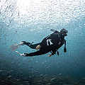 Scubapro SEAWING NOVA uszonyok